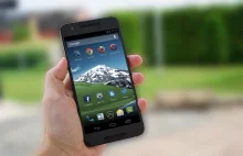 Holandia: Aplikacja Google na Androida zawiesza się przy starcie