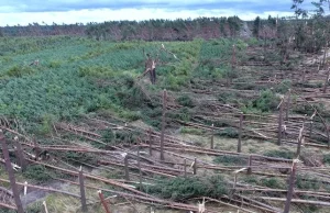 Tragedia w Suszku, śmierć harcerek. Sąd po 4 latach wyda wyrok ws. oskarżonych.