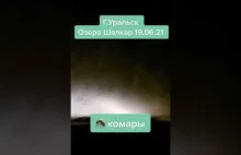 Atak komarów nad rosyjskim jeziorem