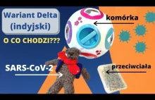 Wariant Delta (indyjski) - czy powinniśmy się go bać?