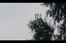 Moment zestrzelenia etiopskiego C-130E Hercules przez tigrajskich rebeliantów