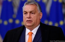 "Najchętniej zobaczylibyśmy UE bez Węgier". Premier Holandii mówił też o Polsce.