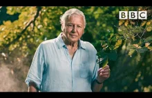 95 lat Davida Attenborough w 95 sekund