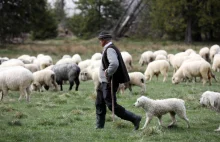 „Przeca covida ni ma”. Górale się nie szczepią. I mają gdzieś to, że latem...