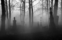 Kim jest kobieta, która popełniła samobójstwo na dziecięcym cmentarzu?