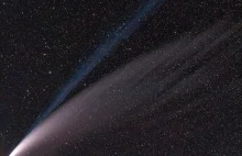 To największa znana nauce kometa, o masie 1000-krotnie większej niż zazwyczaj