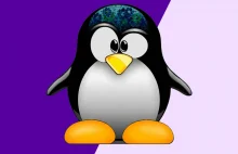 Pojawiła się największa aktualizacja jądra Linux od lat