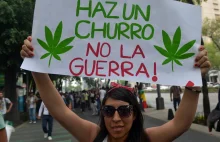 Meksyk: depenalizacja marihuany, dorosła osoba może spalić blanta bez kary.