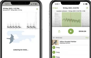 Aplikacja dla ornitologów zidentyfikuje ptaki po ich śpiewie