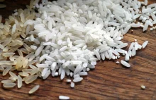 Japoński naukowcy stworzyli szczepionkę na cholerę w formie ryżu - MucoRice-CTB