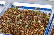 Portugalia zatwierdziła konsumpcję owadów; eksperci sceptyczni