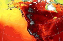 W Kanadzie padł kolejny rekord temperatury - niemal 50 stopni