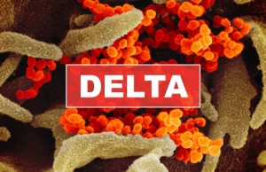 Wariant Delta groźniejszy dla osób zaszczepionych? To nieprawda