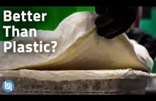 [EN]Czy materiał z grzybów zastąpi plastiki w przyszłości?
