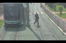 Tramwajarz pomaga żółwiowi