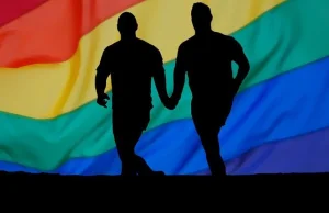 Francja: historyk broni węgierskiej ustawy dot. homoseksualizmu. A jednak