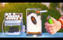 Co się stanie z karaluchem, który wypali 20 papierosów?