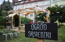 Katowice szukają społeczników do prowadzenia ogrodów