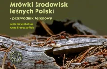 Mrówki środowisk leśnych Polski - przewodnik terenowy