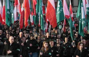 "Istnieje niebezpieczeństwo recydywy faszyzmu" - ostrzega prof. Leociak