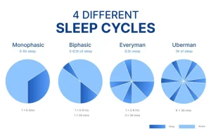 Sen polifazowy: potencjalne korzyści, ryzyko, jeśli chcesz spróbować (sen...