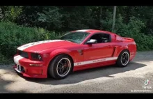 Mustang gt V8 steeda