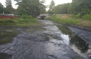 Katastrofa ekologiczna - rzeka Głomia