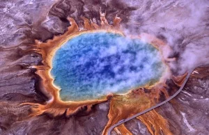 Bill Gates, NASA, Yellowstone i alternatywy mięsa łączy zaskakująco dużo