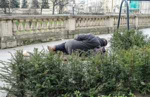 "Zwykły alkohol tak nie działa". Mózgotrzep sieje spustoszenie w Radomiu