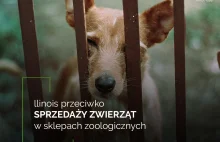 llinois przeciwko sprzedaży zwierząt w sklepach zoologicznych