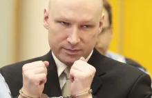 Anders Breivik planuje sprzedać prawa do filmu o swoim życiu.