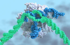 Technologia CRISPR po raz pierwszy wykorzystana do terapii choroby genetycznej