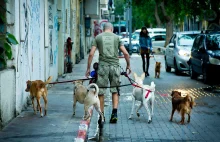 Tel Awiw ma dosyć skarg na psie odchody. Będą testować DNA.