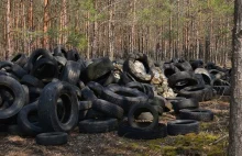 Śmieci zalewają lasy. W tym roku leśnicy wydali już 500 tysięcy na wywóz odpadów