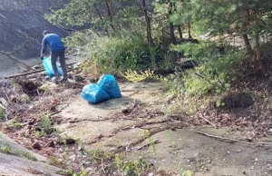 Białorusin posprzątał las w Zielonej Górze - Urząd Miasta chce mu podziękować