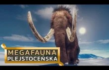 Wielkie ssaki epoki lodowej, które żyły w Polsce