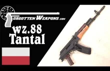 Kbk wz.88 Tantal: alternatywna wersja AK-74