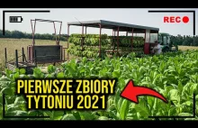 PIERWSZE ZBIORY TYTONIU 2021 - Sposób na upały!
