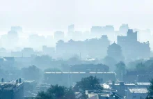 25 megamiast wytwarza 52 proc. światowej miejskiej emisji gazów cieplarnianych.