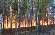 Jakucja płonie. Na Syberii temperatury oscylują wokół 35 st. C