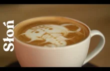 Jak narysować słonia na kawie? LATTE ART