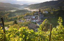 Lubisz Prosecco? Nie mamy dobrych wiadomości