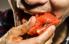 Pomidory wiedzą, kiedy są zjadane. Wysyłają do krzaka impulsy z ostrzeżeniem