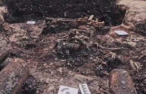 W chojnickiej Dolinie Śmierci odnaleźli tonę tonę ludzkich szczątków.
