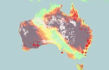 Australia płonie czyli 140 zakażeń covidem rozwala kraj...