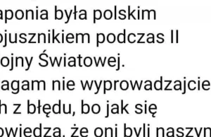 Polska kolaborowała z państwami osi w czasie drugiej wojny światowej wg TVP(is)