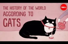 Historia świata - z perspektywy kotów