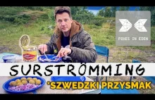 KISZONY ŚLEDŹ - test śmierdzących śledzi ze Szwecji