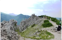 Tatrzańskie szlaki: Dolina Białego, Sarnia Skała, Siklawica i Dolina Strążyska