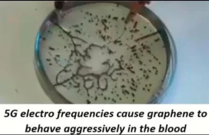 THIS IS HOW GRAPHENE REACTS WHEN EXPOSED TO 5G ELECTROMAGNETIC DISCHARGES